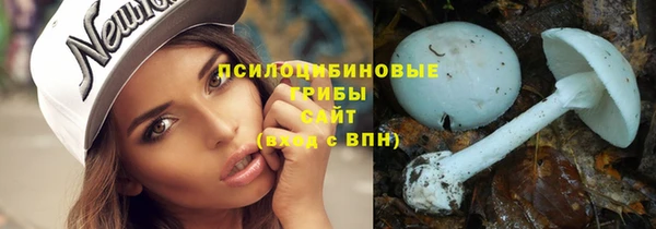 а пвп мука Армянск