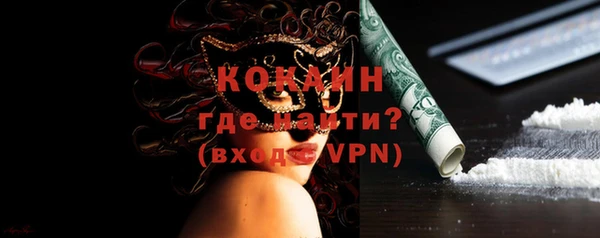 индика Алзамай