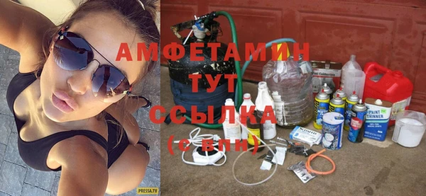 индика Алзамай