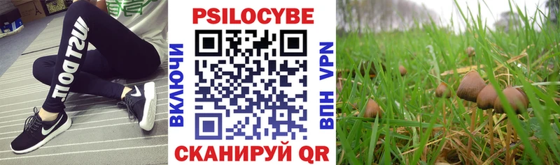 Псилоцибиновые грибы GOLDEN TEACHER  Реутов 