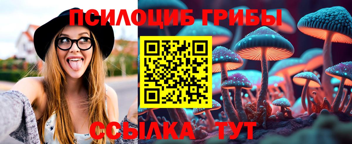 Псилоцибиновые грибы MAGIC MUSHROOMS Реутов