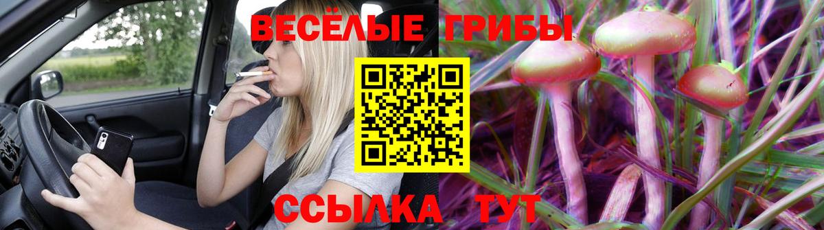 Галлюциногенные грибы GOLDEN TEACHER  Вход с VPN  Псилоцибиновые грибы GOLDEN TEACHER  Реутов 